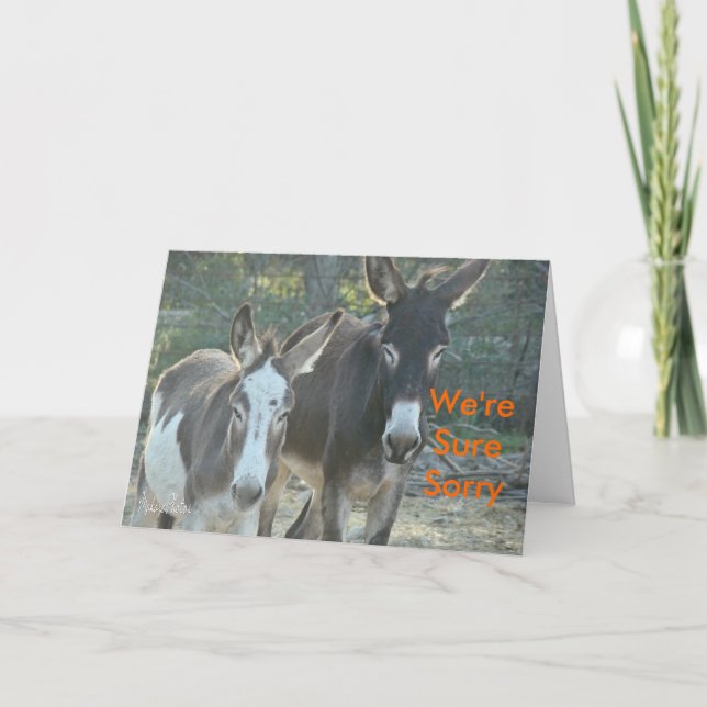 Sorry Mules-customize Card (Front)