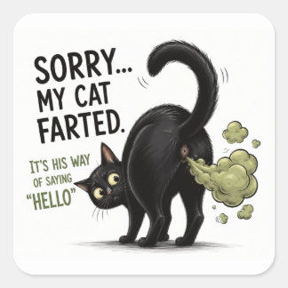 Sorry My Cat Farted Funny Black Cat Humour Square Sticker