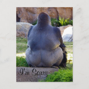 Sorry_ Postcard