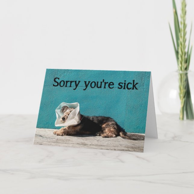 Sorry You're Sick Cheer Up Fun Dog Get Well Card (Front)