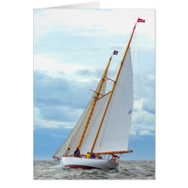 Sortant Sur Le Brillant (Devant)