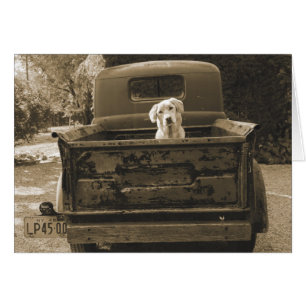 Sortez de Dodge - Photo de chien