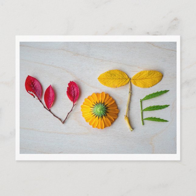 Sortez de la carte postale VOTE (Devant)