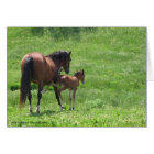 Sortez de la vie des chevaux