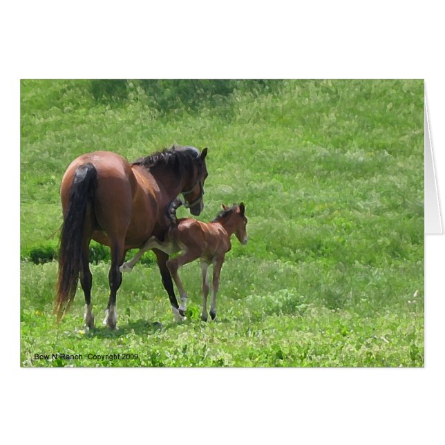 Sortez de la vie des chevaux (Devant horizontal)