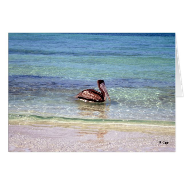 Sortez pour une baignade, S Cyr (Devant horizontal)