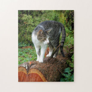Sortez pour une promenade - Kitty Puzzle