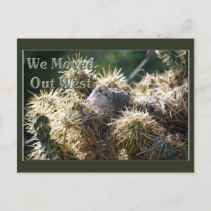 Sortie carte postale occidentale