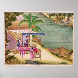 Sorting the Cocoons Poster