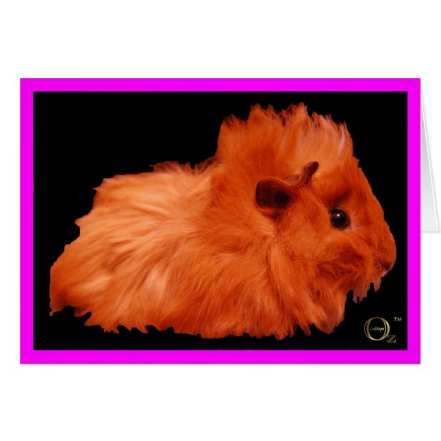 Souffle de poudre (Devant horizontal)