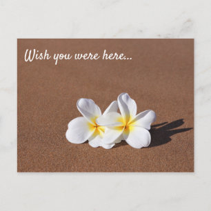Souhaitez-Vous Être Ici Plumeria Blanche Carte Pos