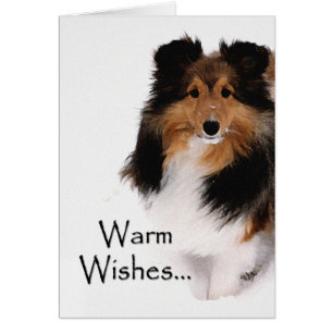 Souhaits chauds de Sheltie