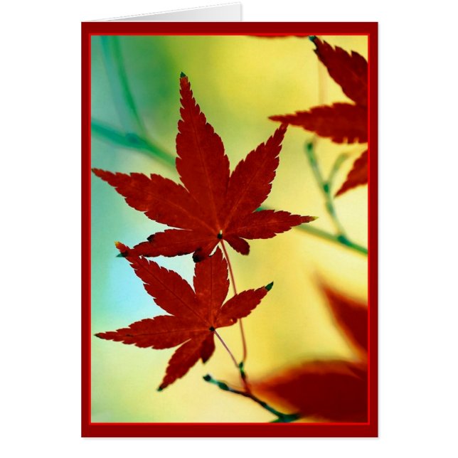 SOUHAITS D'AUTOMNE (Devant)