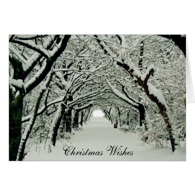 Souhaits hiver et Noël (Devant horizontal)