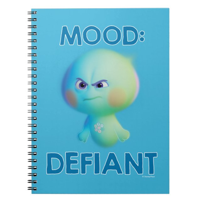 Soul | 22 - Mood: Defiant Notebook (Front)