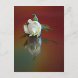 Soul Mate Postcard