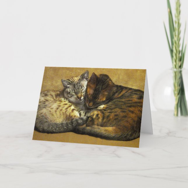 Soul Mates Card (Front)