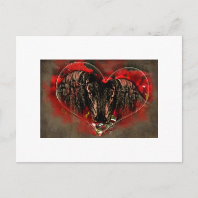 Soul Mates - Postcard (Front)