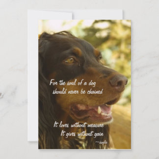 Soul of a Dog Holiday Card