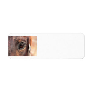 Soulful eye