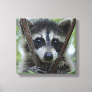 Soulful eyes canvas print