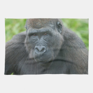 Soulful Eyes of Gorilla Shufai Kitchen Towel