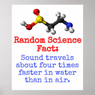 Sound Travels About Four Times Faster - Science Fa Poster