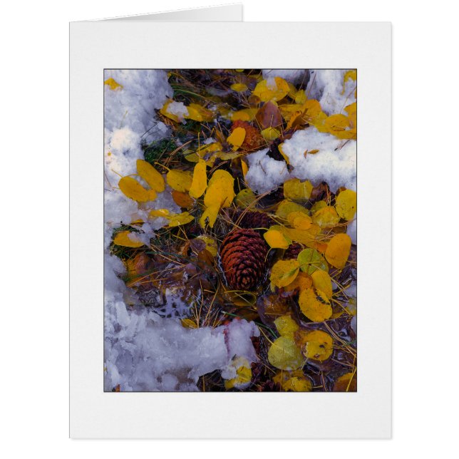 "Soupe d'arbre" (Devant)