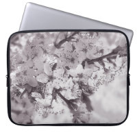 Sour Cherry Tree Black And White