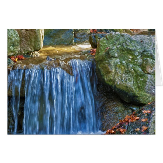 Source d'eau bleue (Devant horizontal)