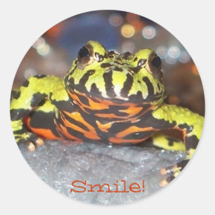 Souriez ! Autocollants de crapaud du ventre