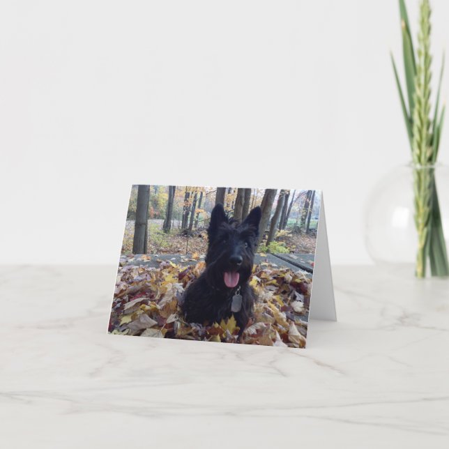 Souriez c'est la carte d'automne (Devant)