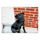 Souriez Pour Nous Minuit !