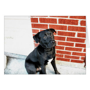 Souriez Pour Nous Minuit !