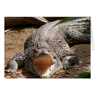 Sourire de Croc