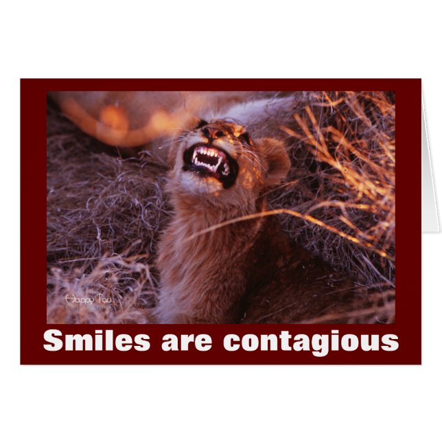 Sourire Lion Cub sourires sont contagieux (Devant horizontal)