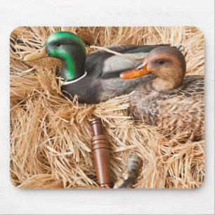 Souris Appel Mallard Drake de canard chassant le tapis de