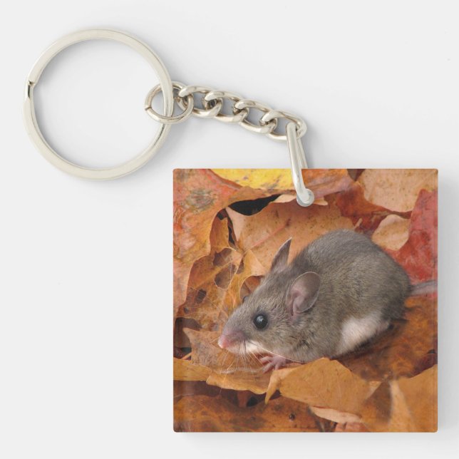 Souris de cerfs en automne laisse Porte - clé acry (Devant)