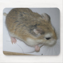 Tapis de hamster