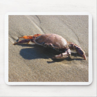 Souris Tapis de souris, Crabe, Plage de la Garde côtière
