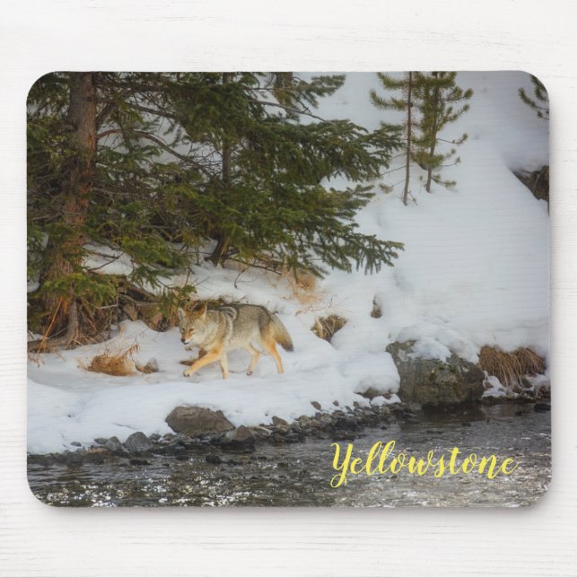 Souris Tapis de souris-Yellowstone Coyote (Devant)