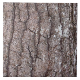 Sourwood Bark Tile