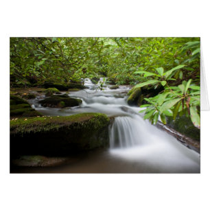 Sous la carte de rhododendrons