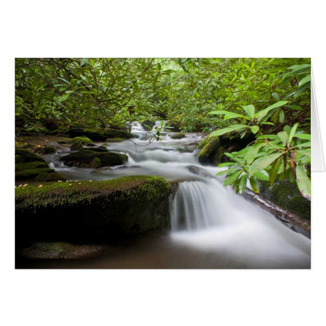 Sous la carte Rhododendrons (Devant horizontal)
