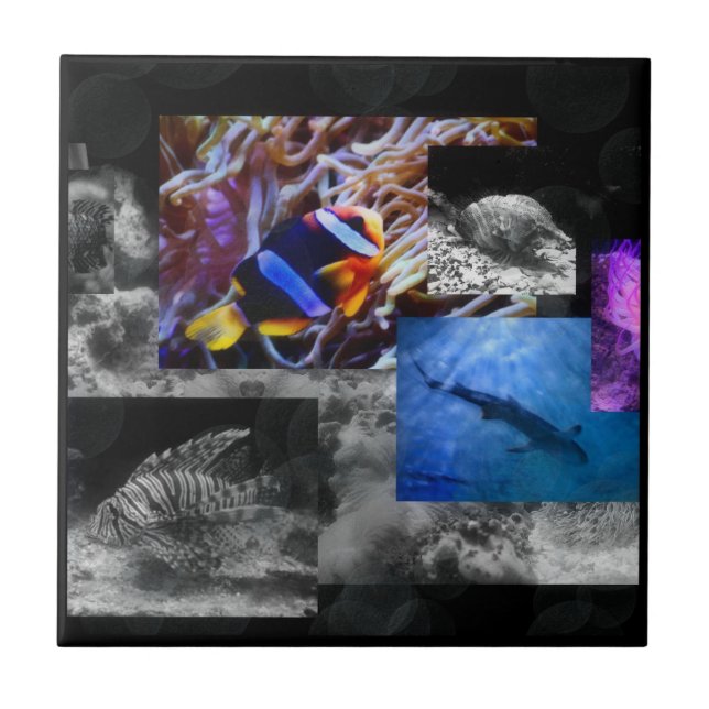 Sous le carreau de céramique de mer (Devant)