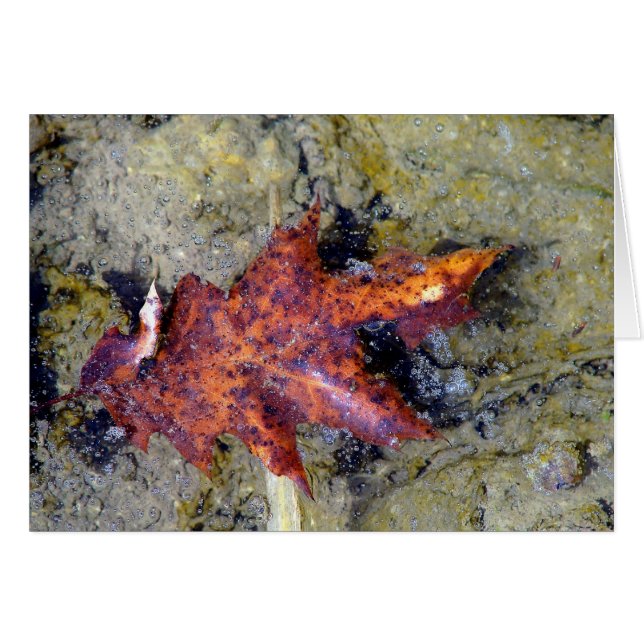 Sous l'eau (Devant horizontal)