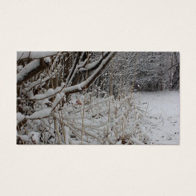 Sous une couverture de neige (Devant)