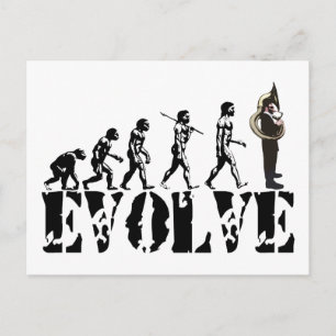 Sousaphone Tuba Tubas Evolution Musical Art Postcard