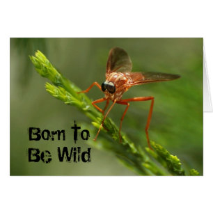 Soutenu pour être sauvage