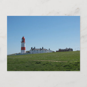 Souter Lighthouse summer Postcard